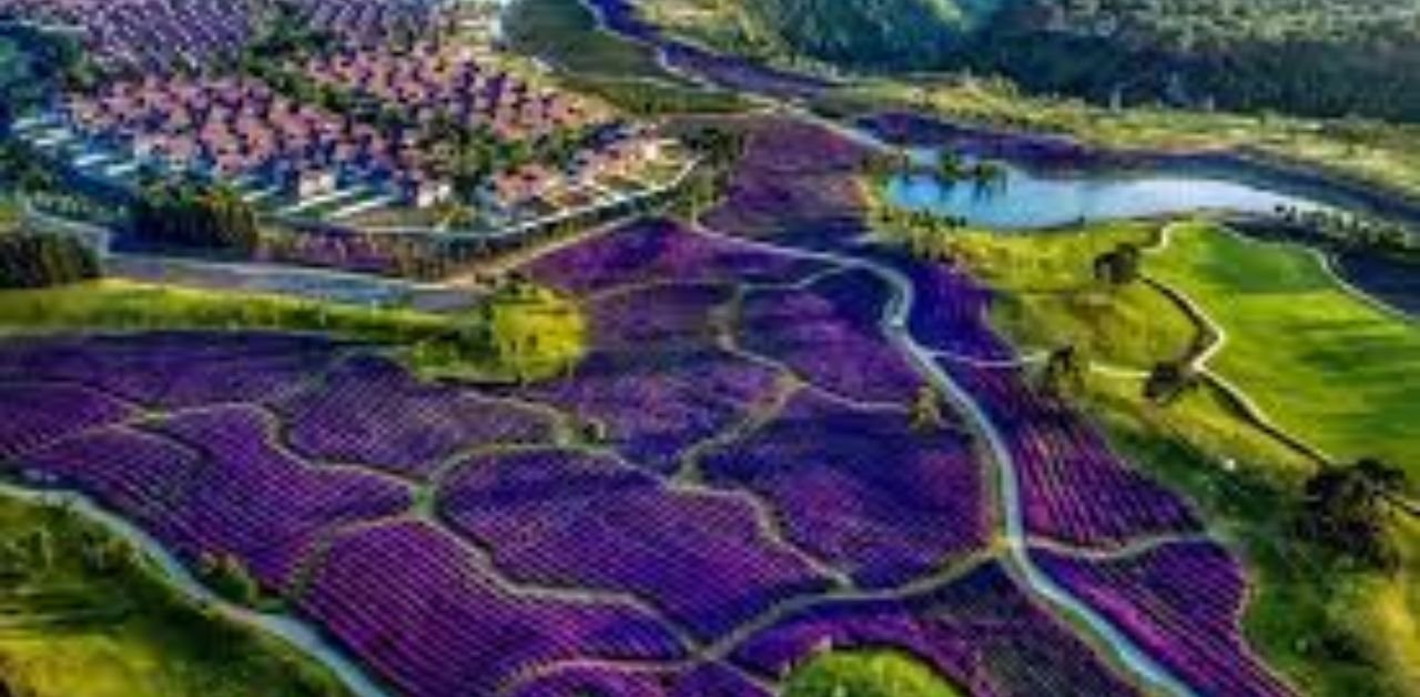 Chongqing Airlines Tengchong Office in China