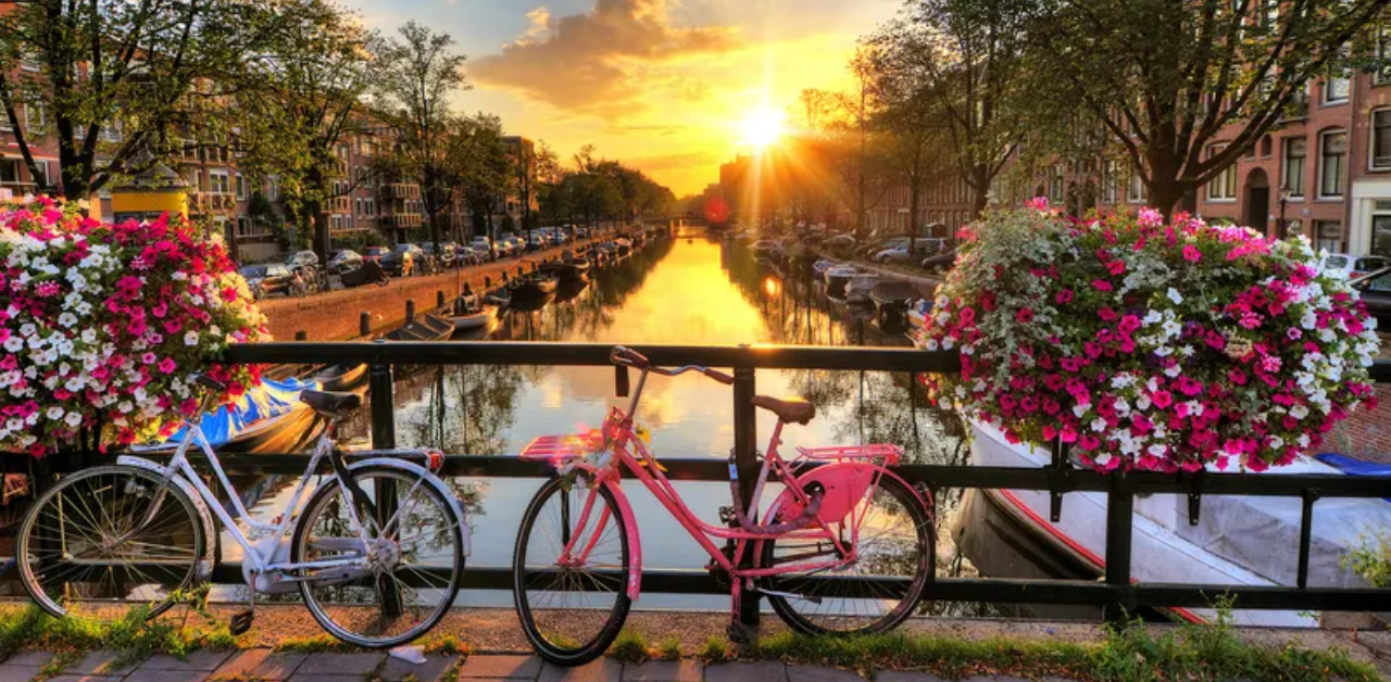 Tunisair Amsterdam Office in Netherlands