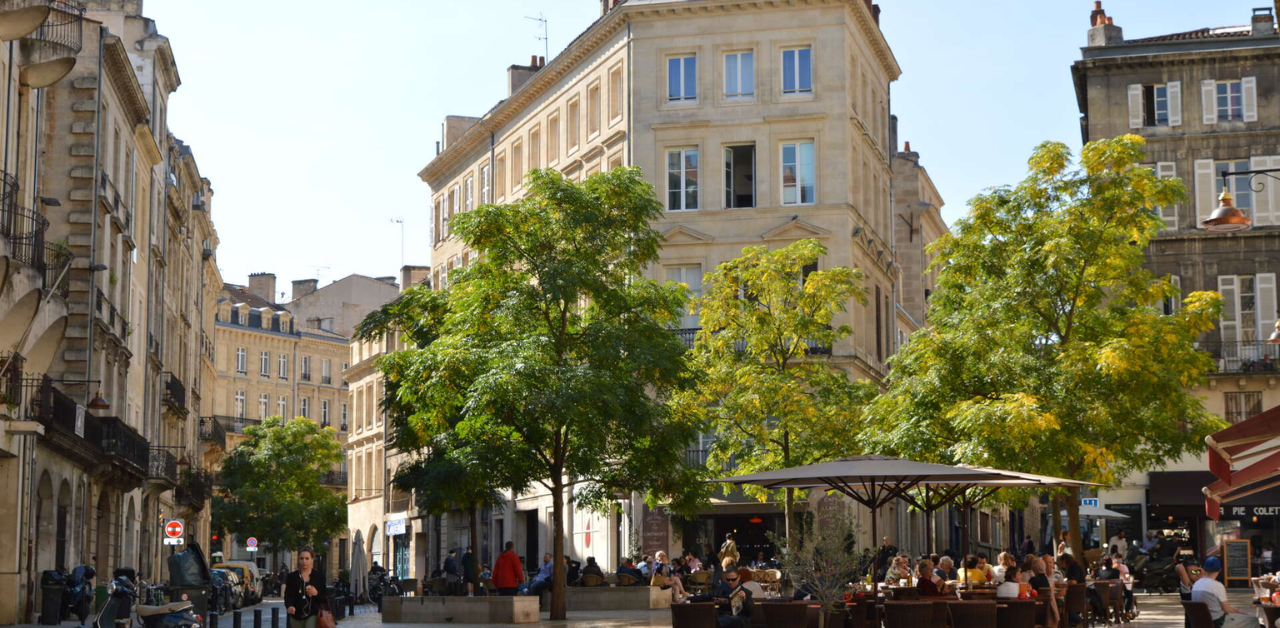 Tunisair Bordeaux Office in France